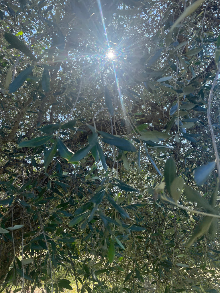 The real price of going organic